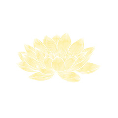 Lotus flower hand drawn golden lines