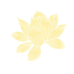 Lotus flower hand drawn golden lines