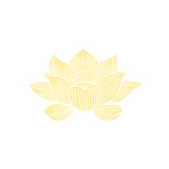 Lotus flower hand drawn golden lines