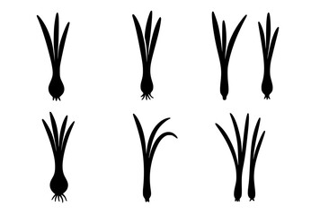 Vector Silhouette, Illustration of 6 Scallions