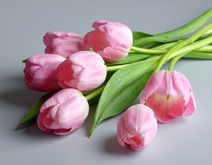 Group of soft-pink tulips on a muted-grey background, angled