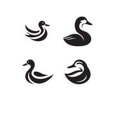 Obraz premium duck black and white animal silhouette vector