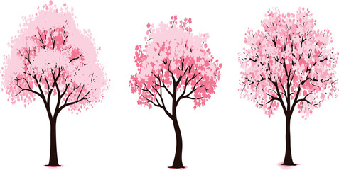 Fototapeta premium Beautiful pink cherry blossom tree vector illustration set, spring season floral design with blooming petals and elegant nature artwork