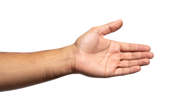 Hand Holding Object on Transparent Background