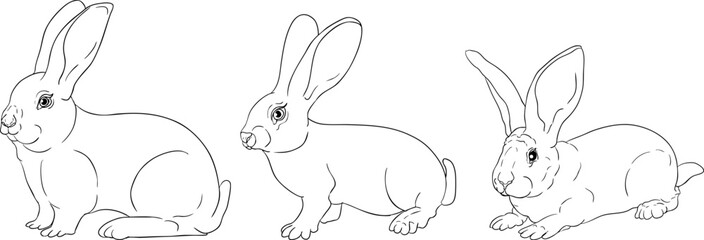 Vector line illustration of rabbits, perfect for farming, gardening, or rustic design projects.