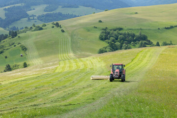Naklejka premium Tractor harvesting hay in green fields of Presovsky kraj