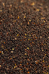 a large number of black rapeseed seeds are used to produce rapeseed oil, black rapeseed is used to produce food products, the irregular structure of round-shaped rapeseed seeds