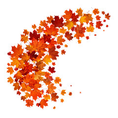 Autumn Cascade: A vibrant display of fall foliage, showcasing the rich colors of the season in an eye-catching arrangement.