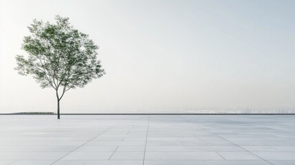 Solitary Tree Against Minimalist Urban Skyline and Clear Sky