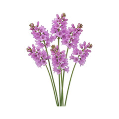 Fototapeta premium Digital rendering of a cluster of vibrant lilac bell-shaped flowers with green stems