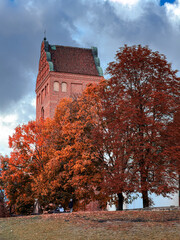 Autumn Glory in Warsaw