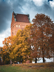 Autumn Glory in Warsaw