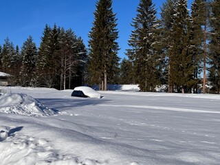 A car stands completely snowed in, in a white winter landscape in front of a green spruce forest in Finnish Lapland.