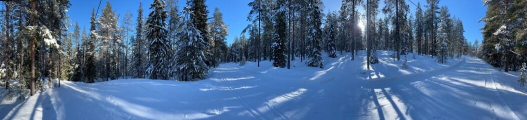 Fototapety na wymiar - Fototapeta24.pl