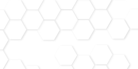 Fototapeta premium Abstract background with hexagon, modern abstract vector polygonal pattern. Futuristic honeycomb mosaic white background, white and gray hexagon honeycomb geometric copy space. 