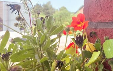 Fototapete bei efototapeten.de bestellen   