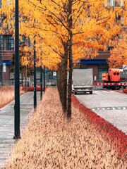 Autumn Stroll in Modern Warsaw