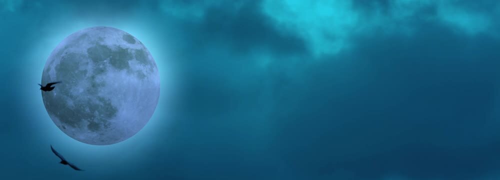 two flying crows isolated against a large full moon in the cloudy night sky, motion design nature background for halloween or travel with copy space