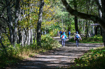 日本北アルプスの上高地