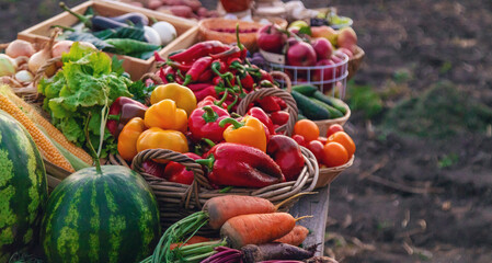 Fruits and vegetables at the farmers market. Selective focus.
