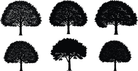 PrintSilhouette of round trees, natural forest collection, black botanical illustration, garden plant design, nature growth concept, landscape tree vector art