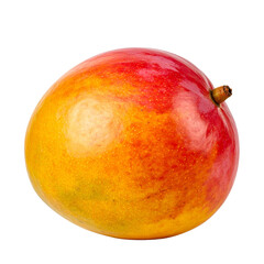 Obraz premium Tropical Mango Delight: A vibrant, ripe mango, exhibiting a stunning gradient of reds and yellows, is isolated. This image encapsulates the essence of tropical flavors and summer freshness.