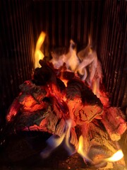 Bûches qui brulent dans un poêle à bois 