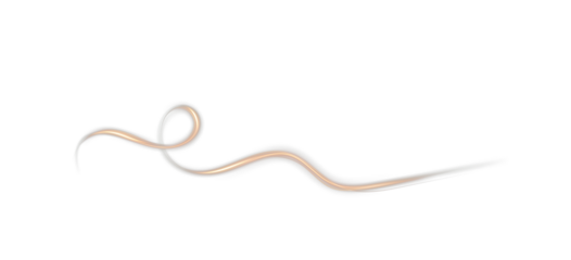 Light trail in golden glow, dynamic wave swirl with fire line effect, luminous energy curves on transparent background PNG.