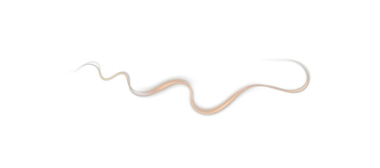 Light trail in golden glow, dynamic wave swirl with fire line effect, luminous energy curves on transparent background PNG.