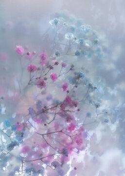 Soft pastel flowers in dreamy blur with gentle light, romantic mood, airy texture and delicate floral background.