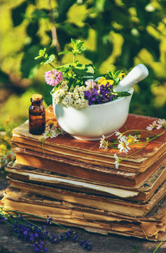 Medicinal herbs homeopathy and alternative medicine. Selective focus.