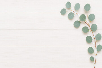 白い木目の板とユーカリの葉のナチュラルな背景素材