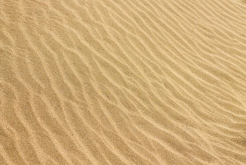 sand ripples in the sand background texture