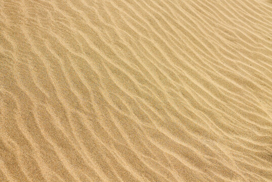 sand ripples in the sand background texture - Powered by Adobe