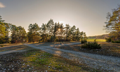 Fototapety na wymiar - Fototapeta24.pl