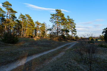 Abendstimmung im Naturschutzgebiet Häuserlohwäldchen zwischen Bad Kissingen und Nüdlingen, Landkreis Bad Kissingen, Unterfranken, Bayern, Deutschland