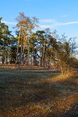 Abendstimmung im Naturschutzgebiet Häuserlohwäldchen zwischen Bad Kissingen und Nüdlingen, Landkreis Bad Kissingen, Unterfranken, Bayern, Deutschland