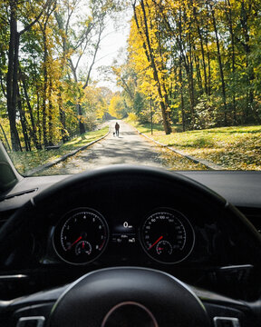 POV: driving in autumn forest. First person view of driving a car on rural road on sunny autumn morning. Silhouette of a man with a dog unfocused in the background.