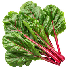 Fresh Red Swiss Chard Leaves on Black Backdrop Organic Food Raw Greens Vegetable Stock Vegan Eating
