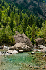 Italy, Europe: larches and rocks along the creek of the Val di Mello, green valley surrounded by granite mountains and forest trees, renamed the little italian Yosemite Valley by nature lovers
