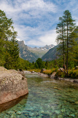 Italy, Europe: larches and rocks along the creek of the Val di Mello, green valley surrounded by granite mountains and forest trees, renamed the little italian Yosemite Valley by nature lovers
