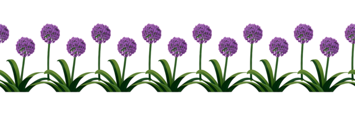 Seamless Border of Purple Allium Flowers with Green Leaves on a Black Background image kghlw Transparent Background | Modern Minimal PNG Design Elements
