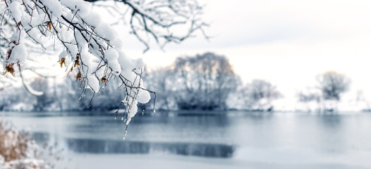 Panoramic winter landscape with tree branches covered with fresh snow in the foreground and a frozen or snowy lake in the background Calm cold winter scene in light tones