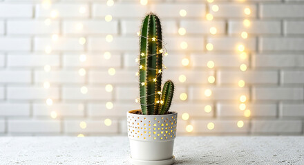 Christmas Cactus Wrapped in LED String Lights in Ceramic Pot