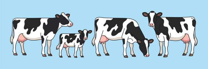 Dairy Milk Cow and Calf Vector Set, Cute domestic livestock illustrations featuring Holstein cattle with black spots, grazing, standing, and walking farm animals isolated on white background.