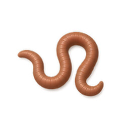 Playful Serpentine Creature Illustration
