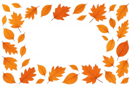 Autumn leaves border framing seasonal designs, fall foliage creating a natural decorative frame with transparent background