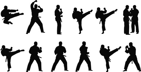 Karate silhouettes in dynamic stances and techniques, martial arts vector illustration for sports, training, and fitness design themes