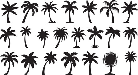Set of silhouettes of palm trees with their unique shapes and shadows. A perfect illustration of tropical nature and vacation
