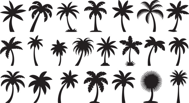 Set of silhouettes of palm trees with their unique shapes and shadows. A perfect illustration of tropical nature and vacation